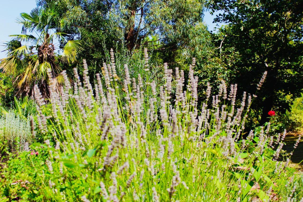 Nagoondie Studio Healesville Exterior photo